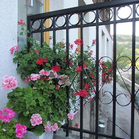 With The Veranda 게스트하우스